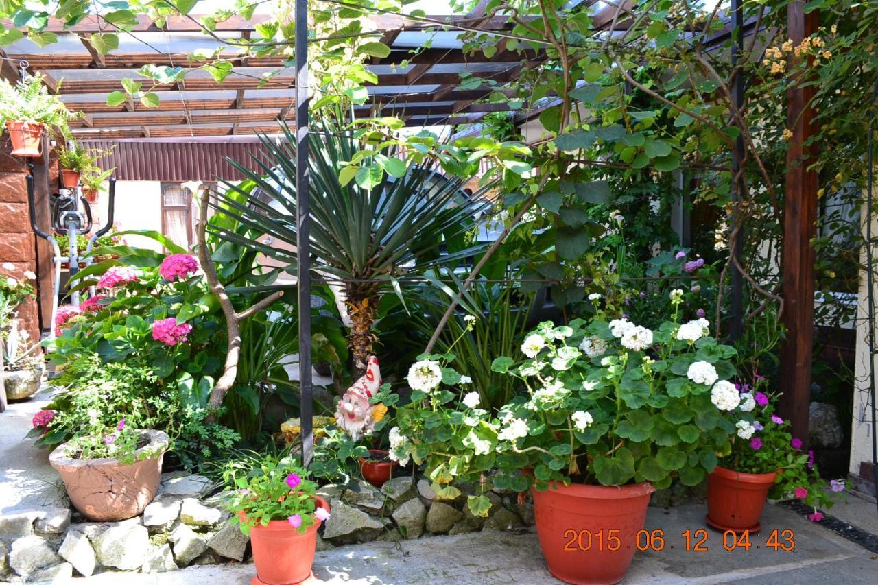 U Palycha Guest House Suhumi Exterior foto