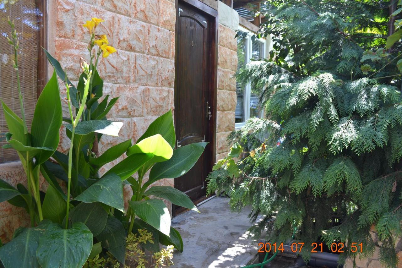 U Palycha Guest House Suhumi Exterior foto
