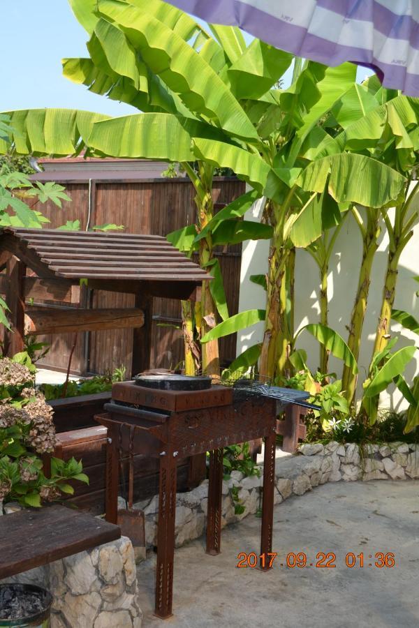 U Palycha Guest House Suhumi Exterior foto